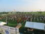 夏期巡回ラジオ体操・みんなの体操会　射水市で開催
